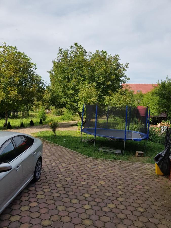 Pensiunea Ruxandra Baile 1 Mai Exterior foto